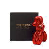 Jeff Koons (After) - Balloon Dog (L) Editions Studio Art - Rood 1